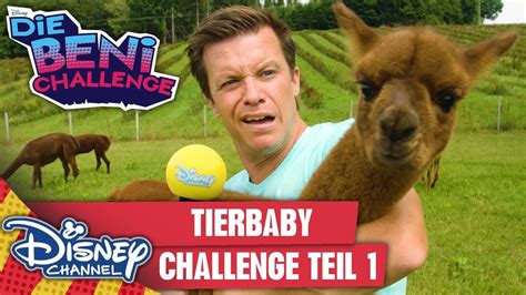 Die Tierbaby Challenge Teil 1 Die Beni Challenge Youtube