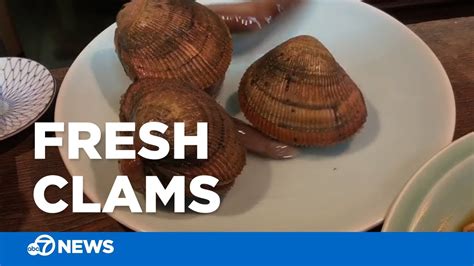 Live Clams Move Around On Diners Plate Youtube