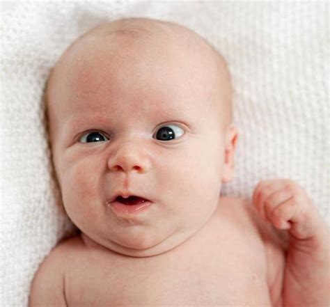 las mejores fotos de bebés de 60 fotos