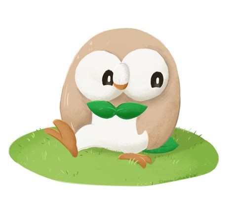 Rowlett Is The Cutest By Egottgott On Deviantart