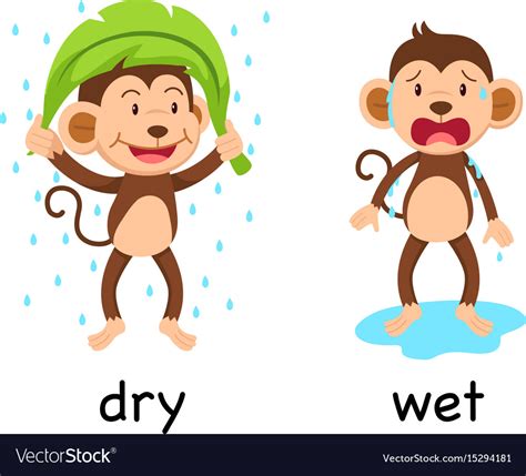 Opposite Words Dry And Wet Royalty Free Vector Image