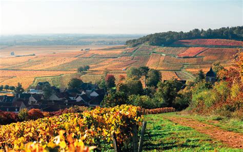 The Best Burgundy Wine Producers An Expert Guide Christies
