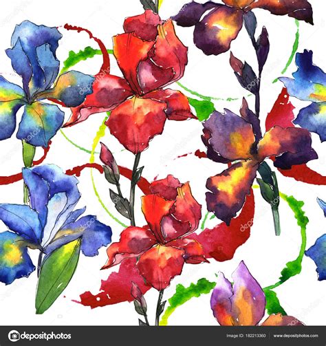 Wildflower Iris Flower Pattern In A Watercolor Style Stock Photo By