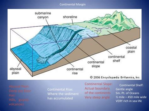 Ppt Continental Crust Vs Oceanic Crust Powerpoint Presentation Free