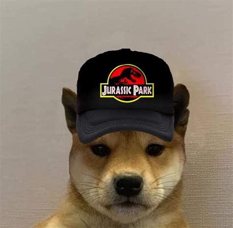 A Brown Dog Wearing A Black Hat With The Words Jurastic Park On It
