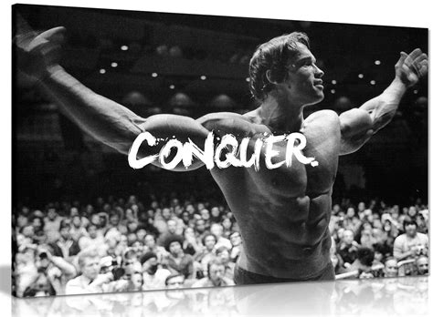 Motivational Inspiritional Arnold Schwarzenegger Conquer Canvas Picture