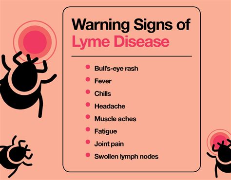 How To Treat Lyme Disease Your Complete Guide The Amino Company