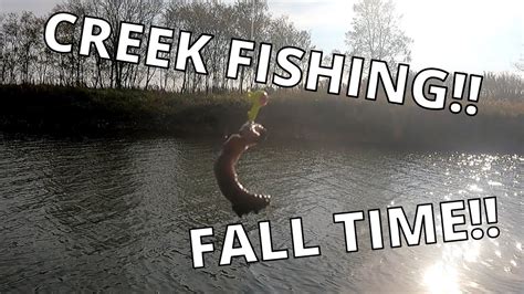 Fall Creek Fishing In Illinois Youtube