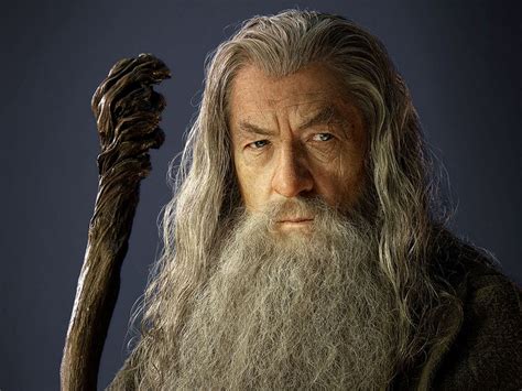 Image Gandalf 2 Lord Of The Rings Wiki