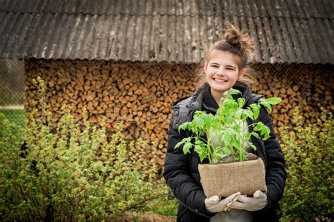 Boer Van Een Leuk Meisje Heeft Een Grote Doos Met Planten In Haar