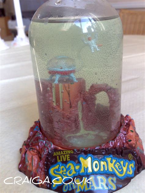 How to raise sea monkeys. Day 46 of 366 Sea Monkey tank Day 1 | Feb 16 46/366 The ...