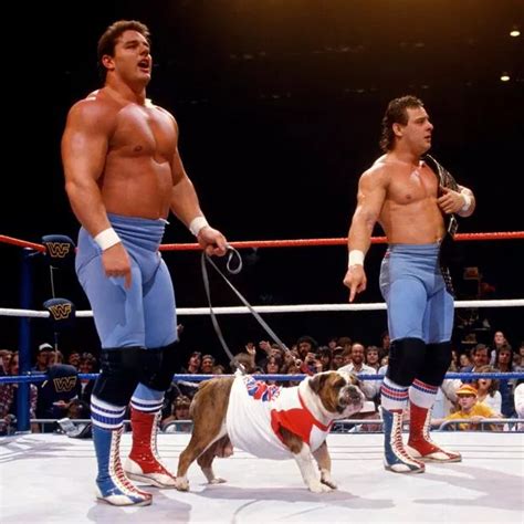 Dynamite Kid Must Join The British Bulldog In Wwe Hall Of Fame Mirror