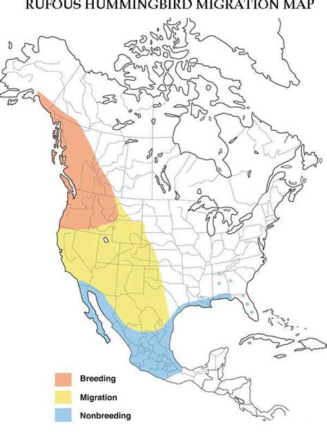 Hummingbird Migration Spring And Fall Migration Information 2020 Map