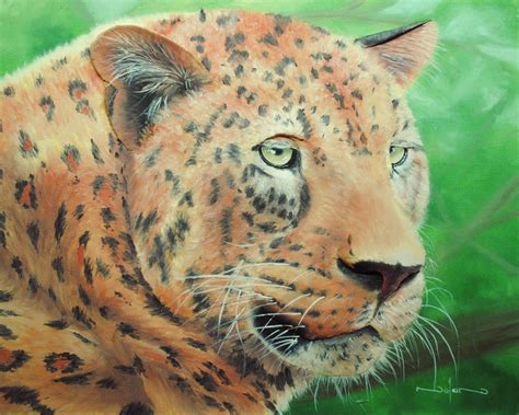 How To Paint A Leopard In Oil Online Art Lessons