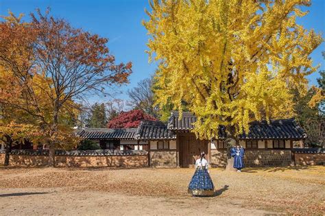 Rất Hay Top 10 điểm Du Lịch Mùa Thu Hàn Quốc đẹp đến Mê Hồn