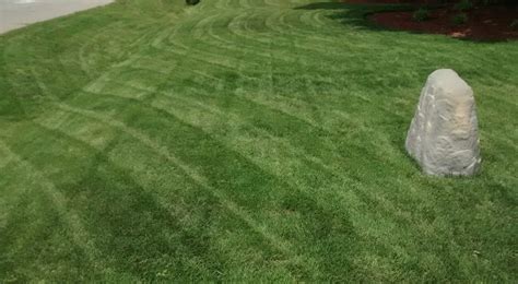Visit the link below for the full science behind this diy lawn fertil. Homemade Liquid Fertilizer For Lawns - Homemade Ftempo