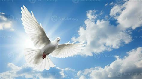 Flying White Dove On A Background Of Blue Sky With White Clouds