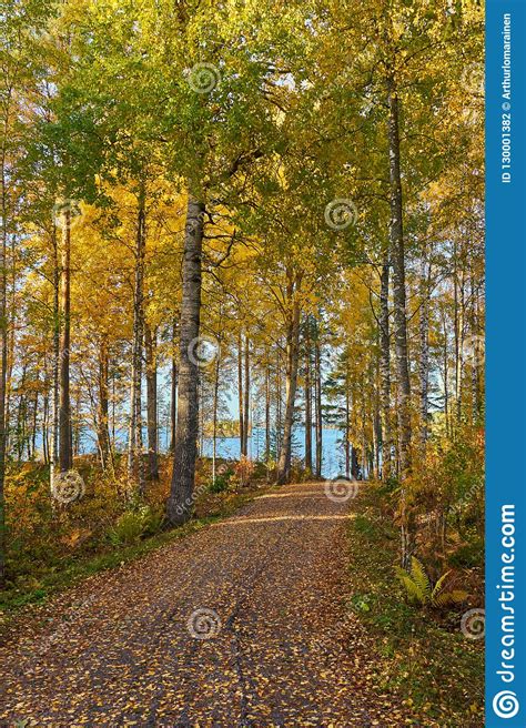 Path In Autumn Forest With A Blue Sky And Lake Stock