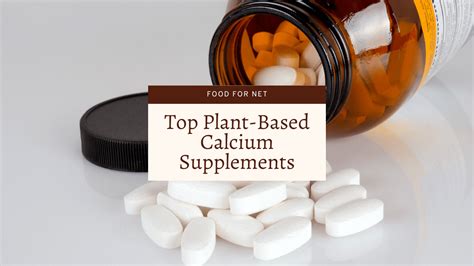 5 Best Plant Based Calcium Supplements Food For Net