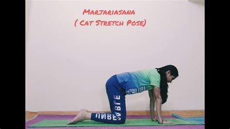 MARJARIASANA CAT STRETCH POSE YouTube