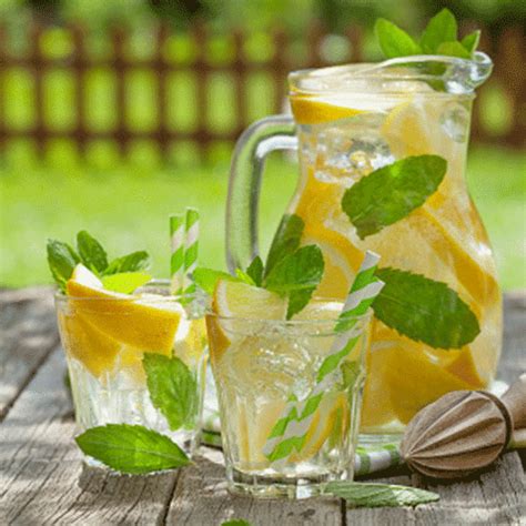 Lemon Mint Juice Recipe How To Make Lemon Mint Juice