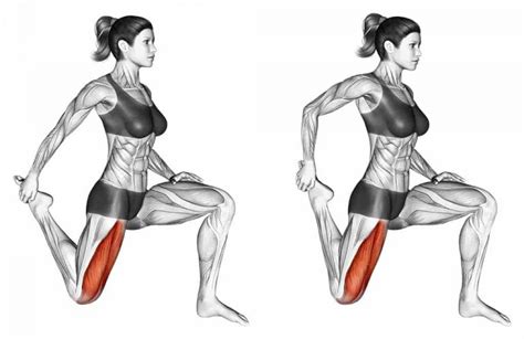 Best Quad Stretches For Peak Performance Avoid Injury A Lean Life