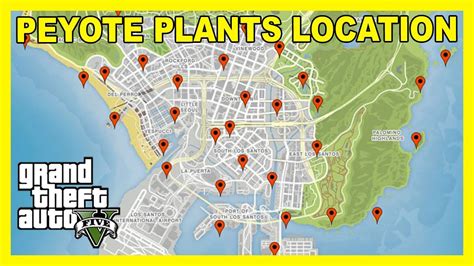Peyote Plant Locations Map All The Locations Of The Peyote Plants