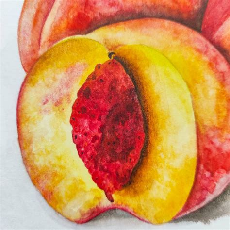 Watercolor Peaches Sweet Peaches Watercolor Illustration Etsy