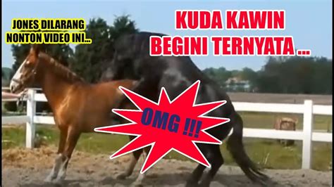 Join facebook to connect with kawin kuda and others you may know. TERNAYATA BEGINI !!!!! KUDA KAWIN ~ JONES DILARANG NONTON ...