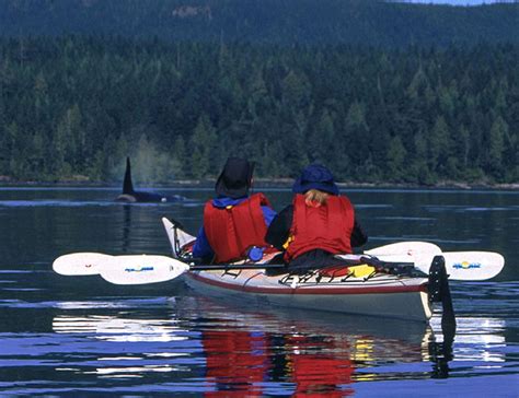 British Columbia Sea Kayaking Johnston Strait Rivers And Oceans