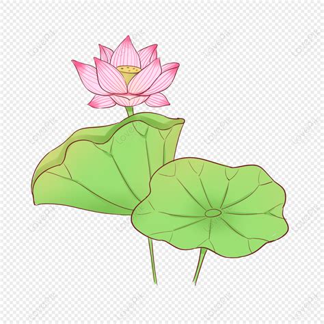 Fresh Chinese Style Lotus Flower Illustration Green Lotus Flower