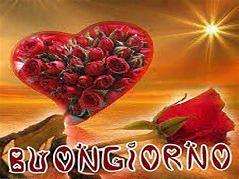 Pagesmediatv & moviestv genrefiction mediasetvideossvegliati amore mio. Buongiorno amore: immagini, frasi, gif e video. 160 ...