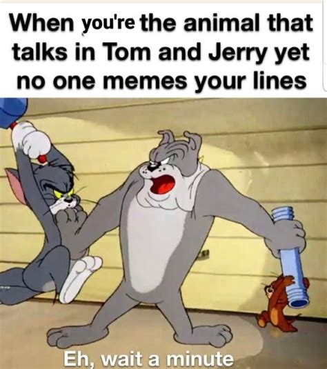 Discovering The World Of Tom And Jerry Memes Unraveling The Humor And Pop Culture Impact
