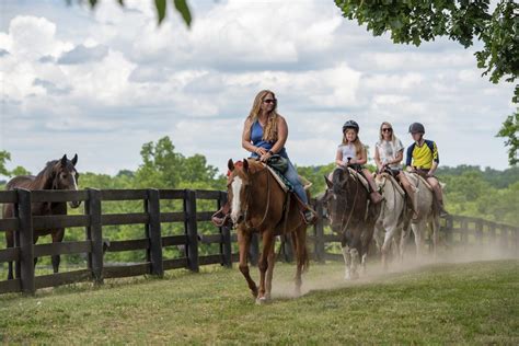 The Kentucky Horse Park In Lexington Horse Capital Of The World