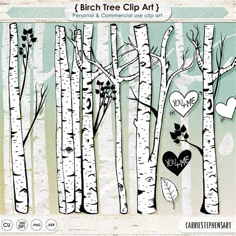 Birch Trees Clip Art