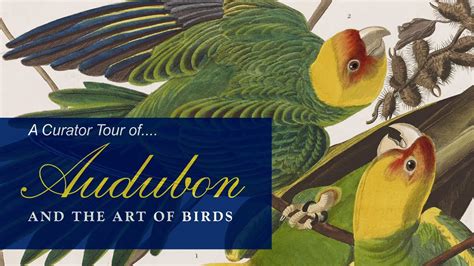 Curator Tour Of Audubon And The Art Of Birds Youtube