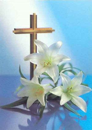 Are you searching for cross with flowers png images or vector? Easter Lilies Flowers - Lilies Flowers