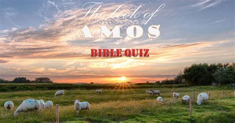 Book Of Amos Bible Quiz