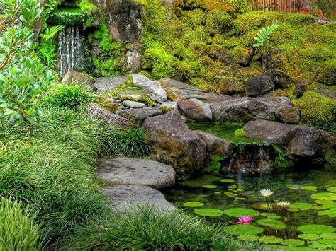 Natural Moss Rock Waterfall And Graceful Pond At The Courtyard Garden