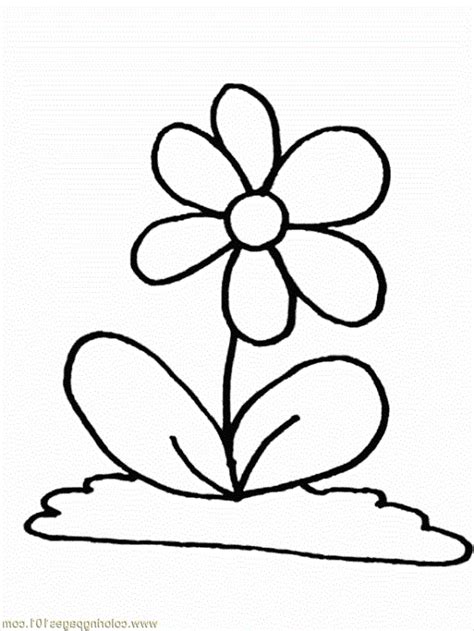 Gambar Kartun Bunga Hitam Putih Kartun Kocak