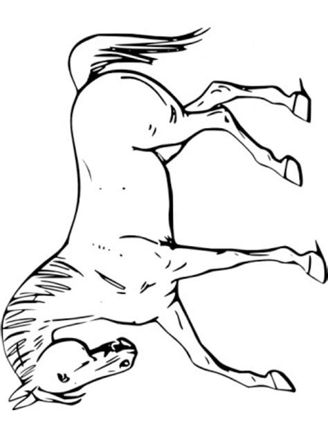 1024 x 1024 png pixel. kleurplaat paard | Leukekleurplaten.nl