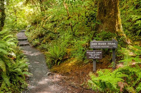 19 Best Hikes In Olympic National Park For 2023 Sweedtravel