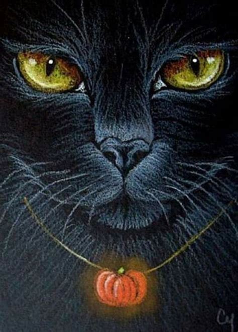 Pin By Bloom Taliercio On Halloween Witchy Stuff Black Cat