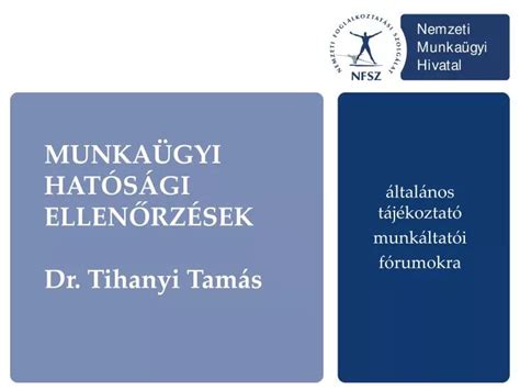 PPT MUNKAÜGYI HATÓSÁGI ELLENŐRZÉSEK Dr Tihanyi Tamás PowerPoint