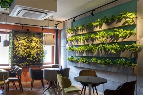 How To Make A Living Wall In Your Home Green Living Zone