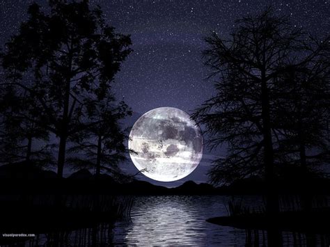Lunar Trees Lake Water Reeds Silhouette Stars Romantic Peaceful