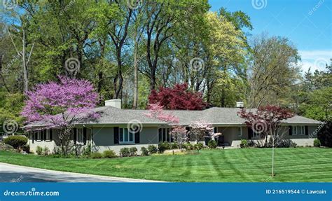 Sprawling Ranch House with Colorful Springtime Foliage Stock Photo