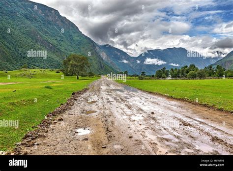 Wet Dirt Road And Tree In The Valley Against The Backdrop Of Mountains