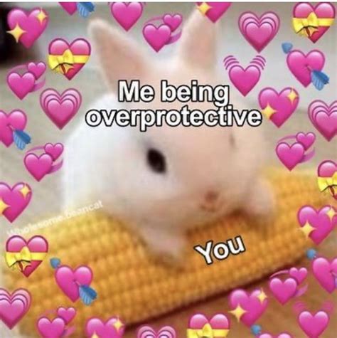 Fastest way to caption a meme. Pin by Army Pink on WHOLESOME MEMES in 2020 | Love you ...