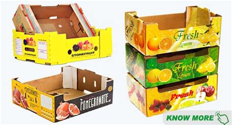 Fun Fruit And Vegetable Packaging Boxes Havaianas